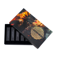 Shamanique Discovery Box