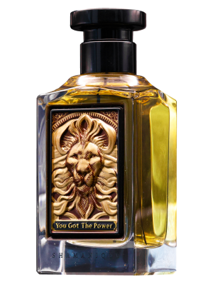 You Got the Power by Shamanique – Parfum Unisex Aromatic și Condimentat cu Note de Mentă, Ghimbir, Scorțișoară și Eucalipt (100ml)
