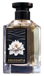 shamanique-abundantia-extrait-de-parfum-unisex-100ml-86-scaled-1.png