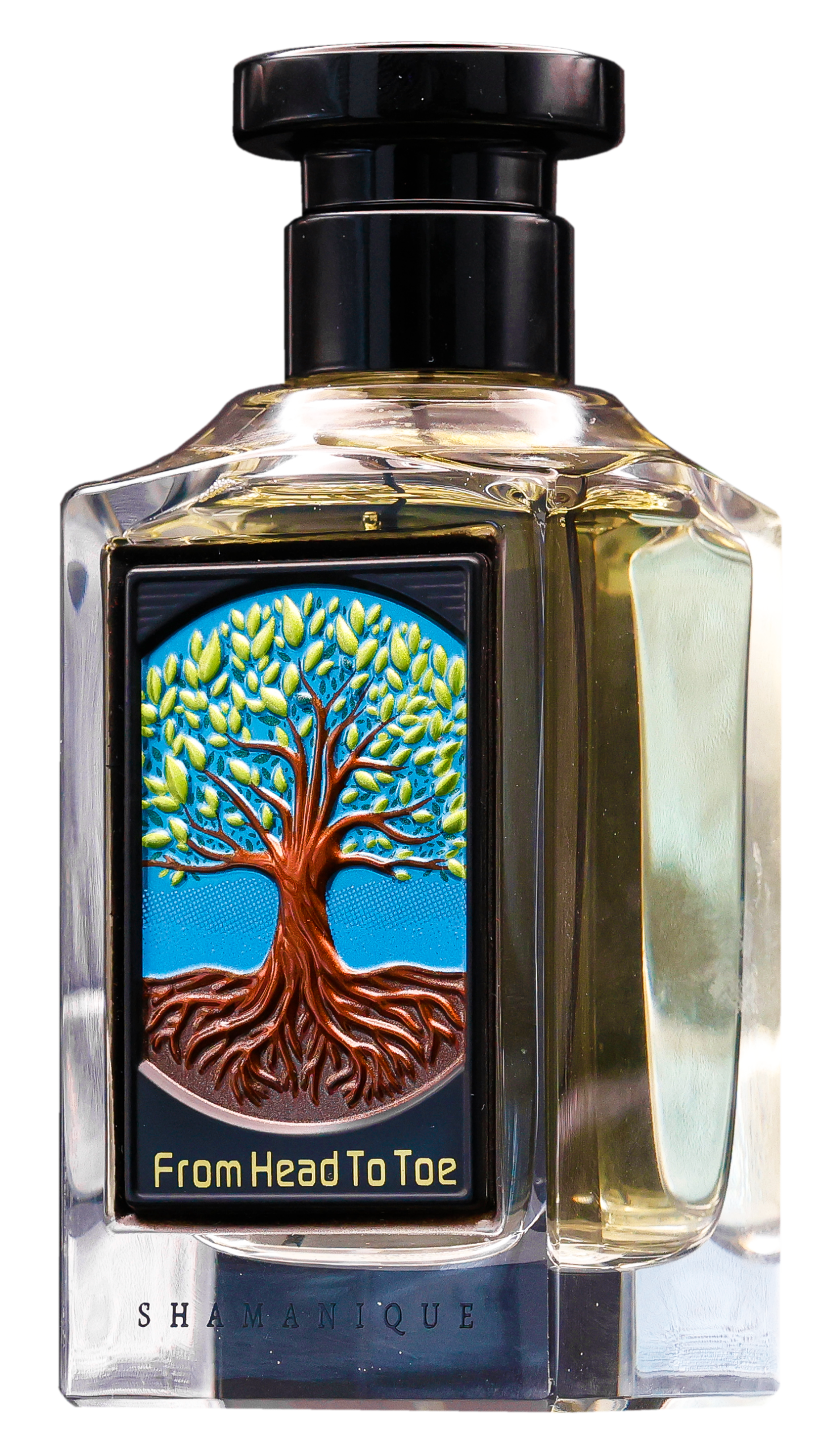 shamanique-from-head-to-toe-extrait-de-parfum-unisex-100ml-89-scaled-1.png