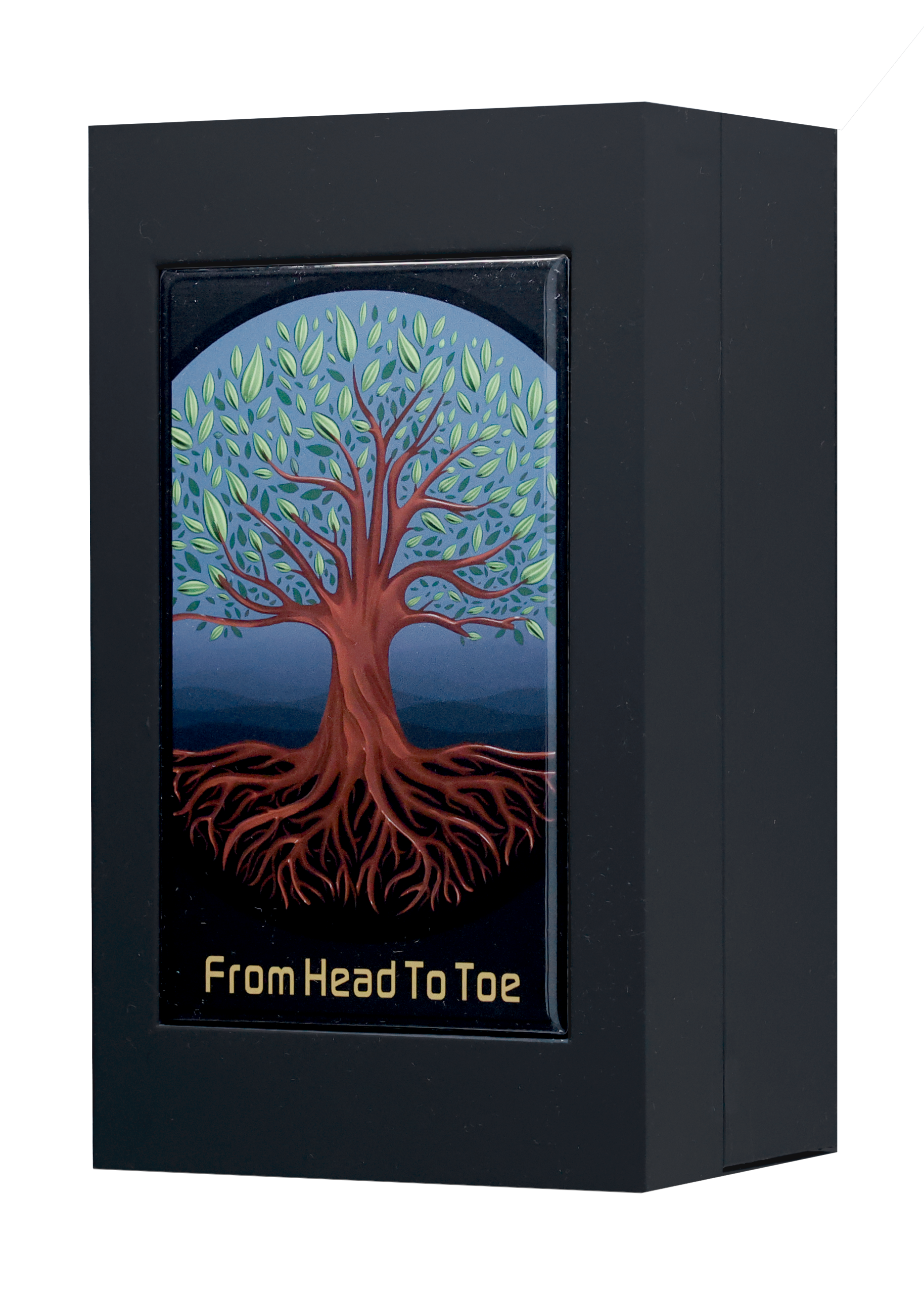 shamanique-from-head-to-toe-extrait-de-parfum-unisex-100ml-a3099-scaled-1.png