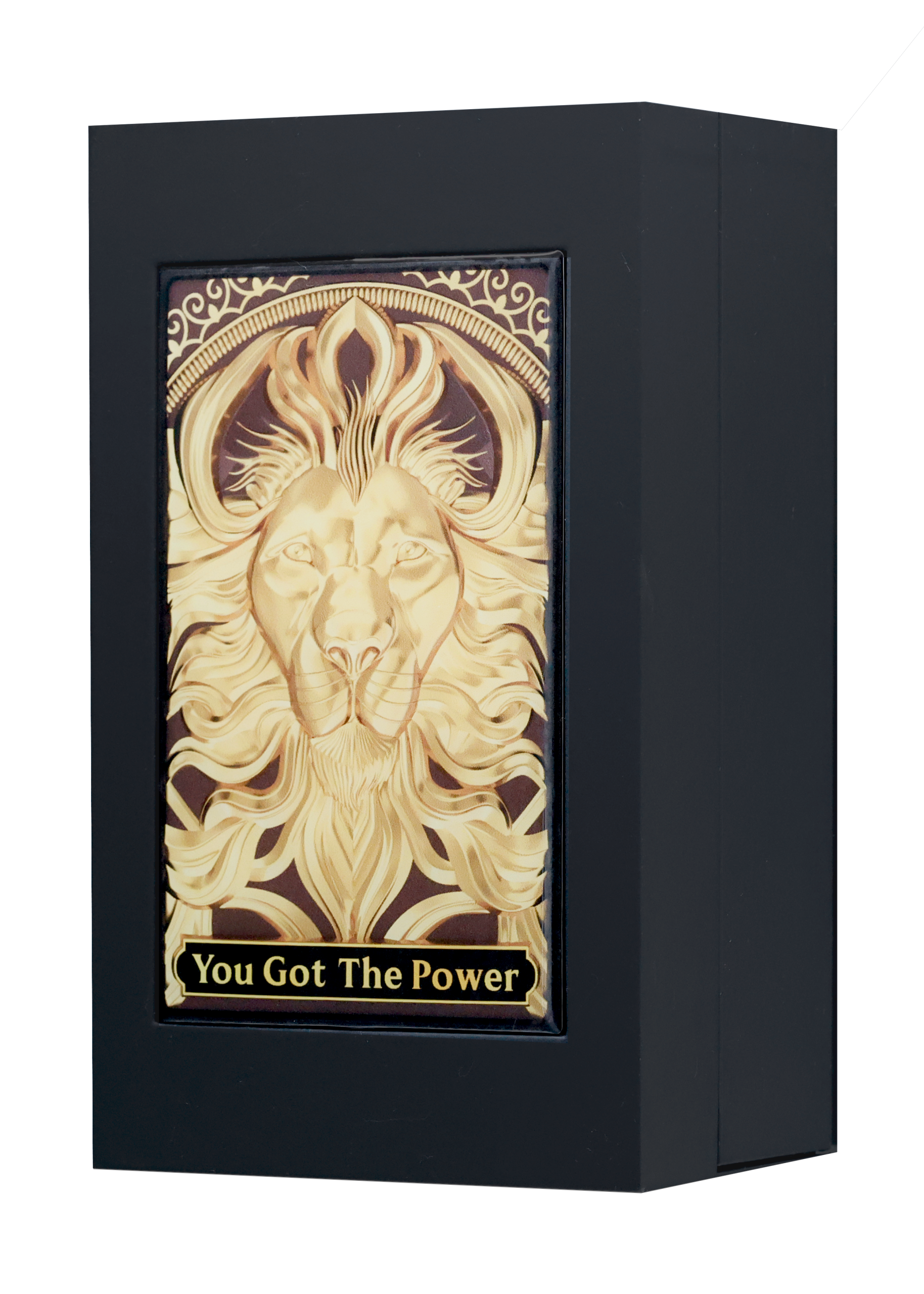 shamanique-you-got-the-power-extrait-de-parfum-unisex-100ml-a3105-scaled-1.png